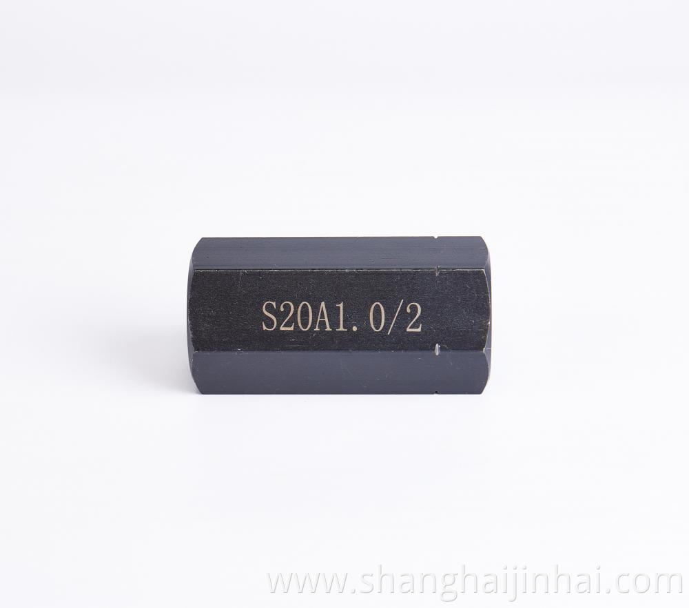 S20a Check Valve 1